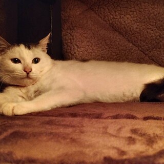 たったひとりで生き抜いてきた♡銀次