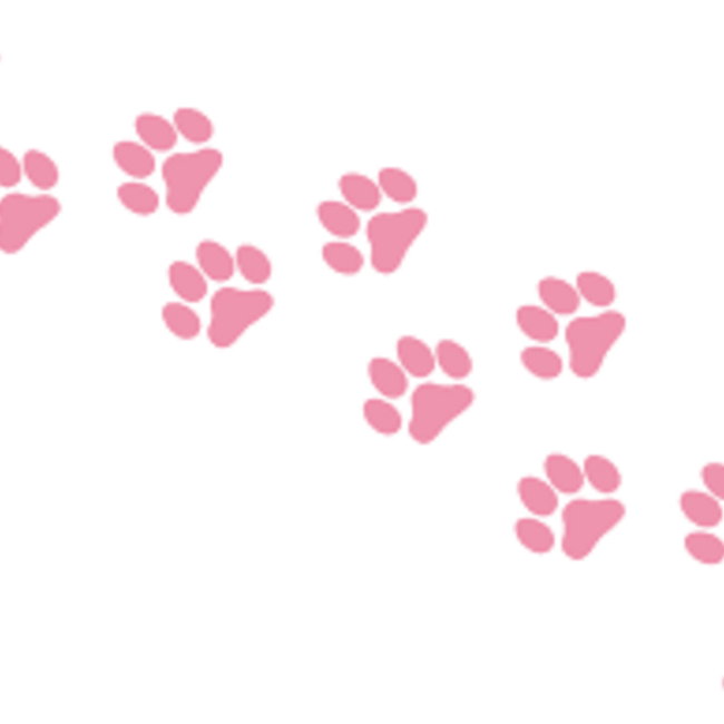 ナッツナッツのカバー写真