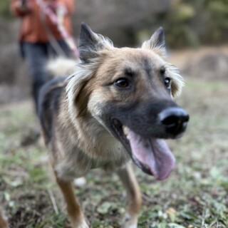 ノヴィ　男の子　甘えまくり内弁慶ボーイ