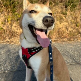 美人な【じゅり】ちゃん