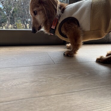 2025年1月19歳になりました！