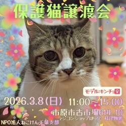 ねこけん千葉支部　譲渡会 サムネイル1