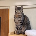 甘えられるようになった才蔵さん