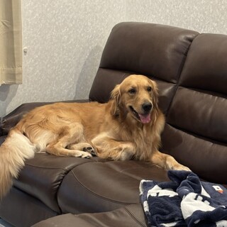 Τ���罸�Υ�����ǥ��ȥ�С��������