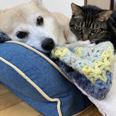 仲間と一緒に〜