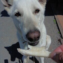 「還暦です！」サムネイル1