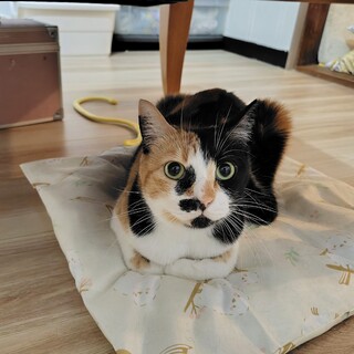 臆病な女の子♡