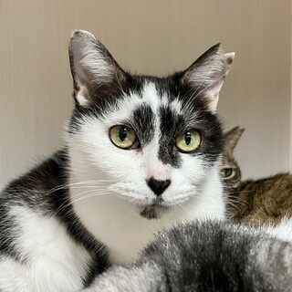 ゴロゴロ喉鳴らしがとまりません♪