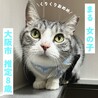 もきゅっとかわいいまるちゃん！ サムネイル2