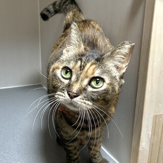 撫で撫で要求する甘えん坊さん♡