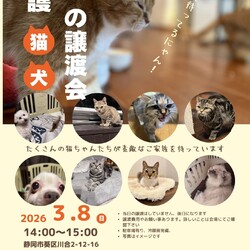 保護猫＆保護犬の譲渡会