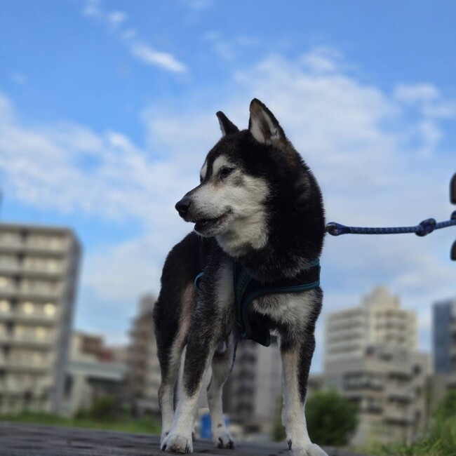 レイくんのママのカバー写真