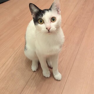 抱っこ大好き甘えん坊な女の子