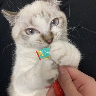 ハンデあるけどとても可愛い甘えん坊