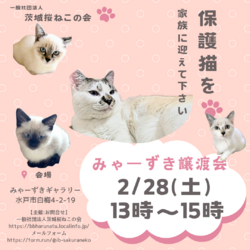 みゃーずき譲渡会