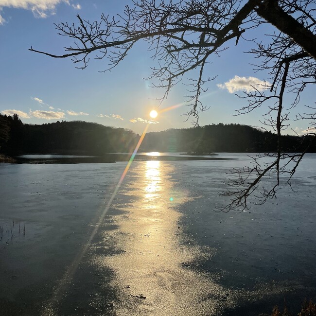 るるねぇのカバー写真