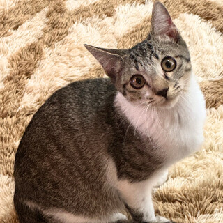 とっても甘えん坊のまるまる君