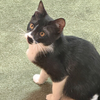 子供大好き！甘えん坊のはちまる君