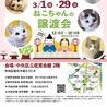 【3/29 東日本橋】甘えん坊♡モクメくん サムネイル7