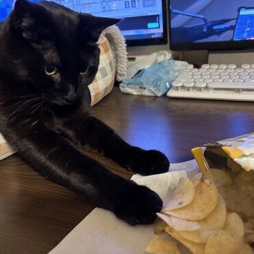 ポテチを食べたい