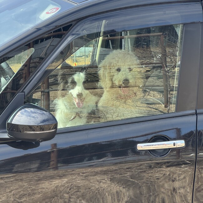 カズ517のカバー写真