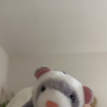 フェレット好きすぎて彼がくれたフェレ助