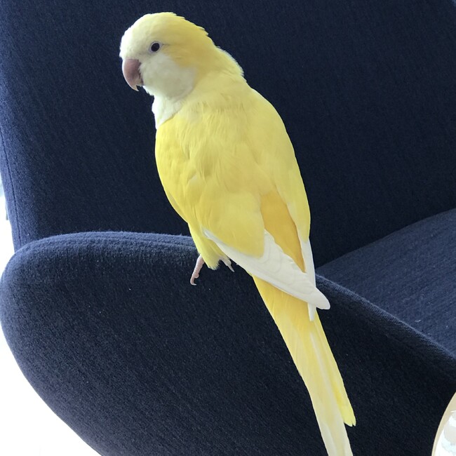 KUUU84のカバー写真