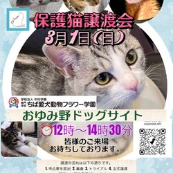 保護猫譲渡会Cat'seye