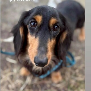 人が好き、明るい性格のにじちゃん