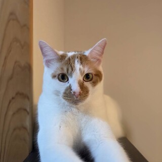 マスクをつけた食いしん坊男子♡