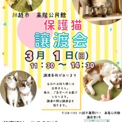 秘密結社ねこのひげ♡保護猫譲渡会