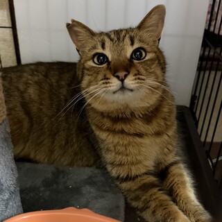 TNR現場にて、慣れすぎていてリターン出来ず