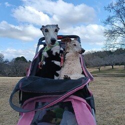 「もうじき17歳」サムネイル2