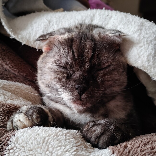 みやばらのカバー写真