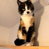 ちとせちゃん サムネイル4