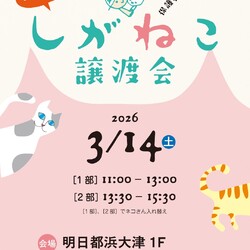 しがねこ譲渡会