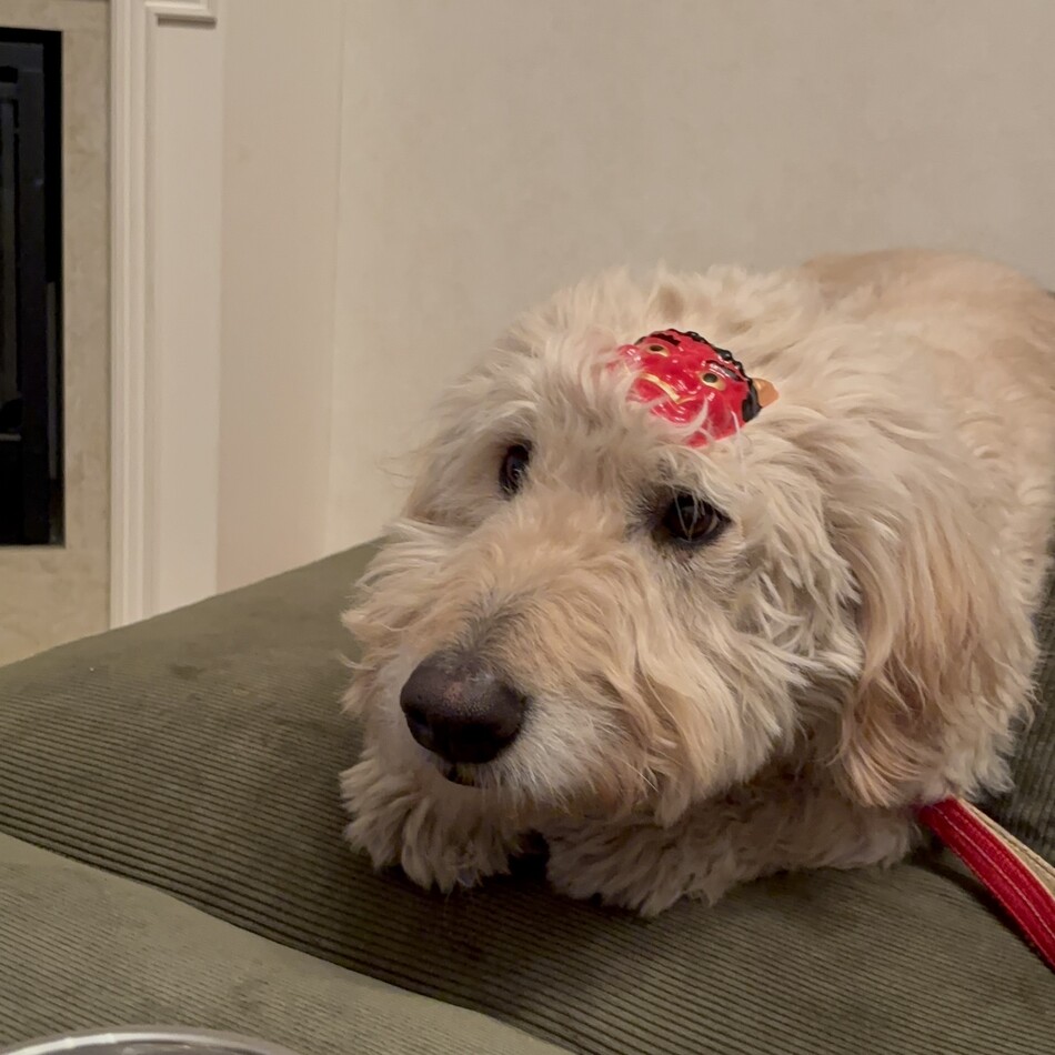 万福のカバー写真