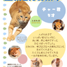 お外頑張り組　5歳チャーくん サムネイル7