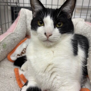 大人しいキウンくん