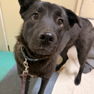 小さめで可愛い女のコ　生後10