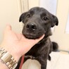 小さめで可愛い女のコ　1歳 サムネイル4