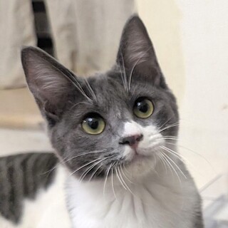 【3/29東日本橋】可愛い♡ぐー助