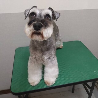 小振りで可愛いしゅなの女の子