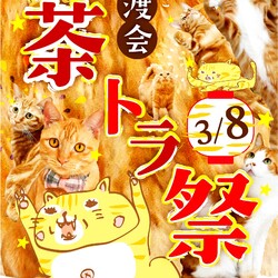 ふれあえる譲渡会 in大阪市