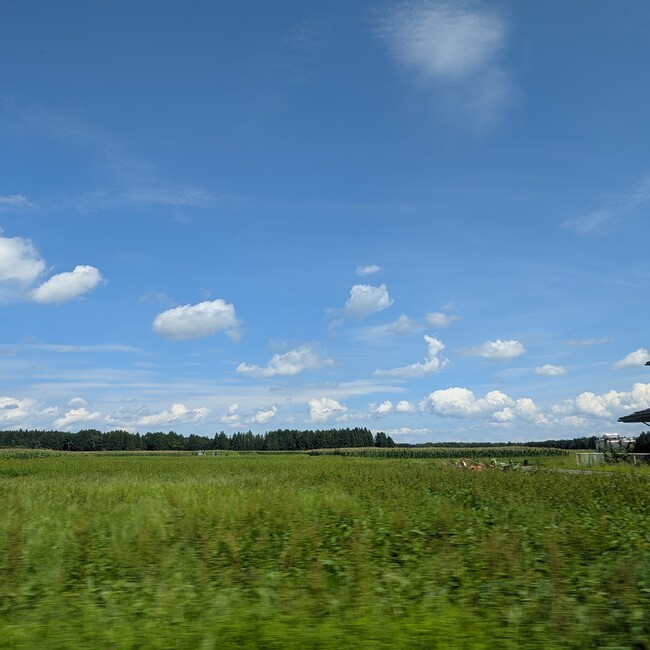 一般飼育人のカバー写真