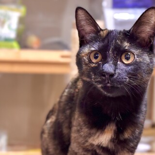 未熟児だったぐりちゃん