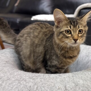 破壊王のこうたくん