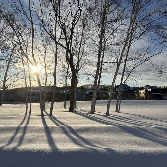 ぶたねこ.のカバー写真
