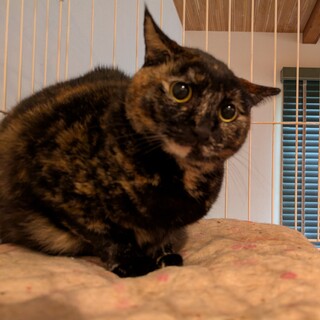 外で子育て頑張りました