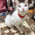 目に障害があっても幸せにしてあげたいモナちゃん